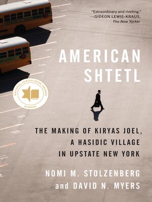 cover image of American Shtetl
